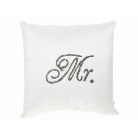 Mr. Cojín Decorativo Gris-ComercializadoraZeus- 1052939972