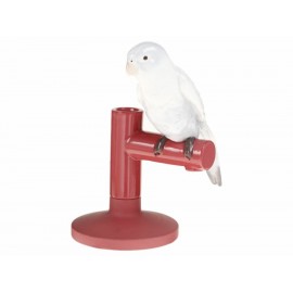 Parrot Light Lladró-ComercializadoraZeus- 89025508