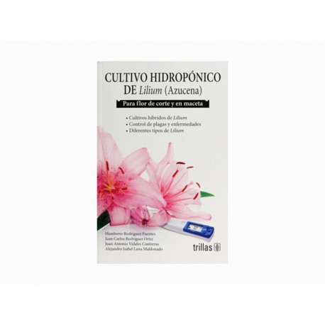 Cultivo Hidropónico de Lilium Azucena-ComercializadoraZeus- 1048455596
