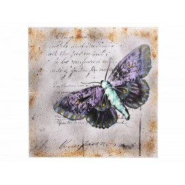 Vanga Mariposa Pintura Contemporánea-ComercializadoraZeus- 1052763254