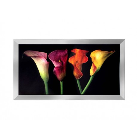 Litografía Jewel callas Carre 35207 multicolor-ComercializadoraZeus- 1009592349