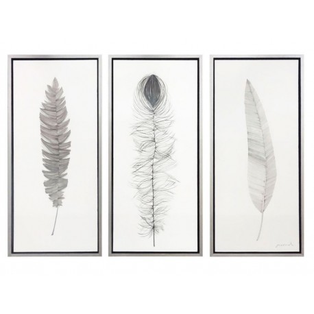 Plumas Naturales Pintura Moderna-ComercializadoraZeus- 1053381169