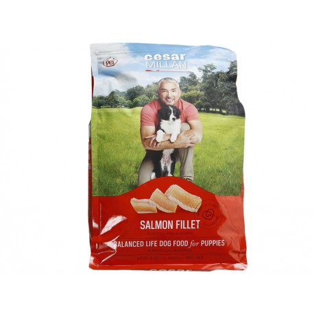 Grandpet Alimento para Perro Puppies 2 Kg-ComercializadoraZeus- 1037785292