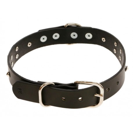 Der Wolf Collar extra grande negro para perro-ComercializadoraZeus- 1048832926