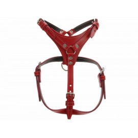 Mundican Pechera Ajustable para Perros-ComercializadoraZeus- 44807840