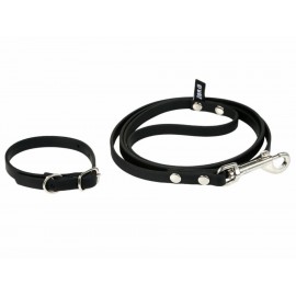 Correa y collar chico para perro Der Wolf negra-ComercializadoraZeus- 1036888781