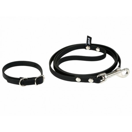 Correa y collar chico para perro Der Wolf negra-ComercializadoraZeus- 1036888781