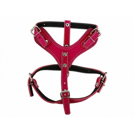Christian Dog Pechera para Perros, Grande, Rosa-ComercializadoraZeus- 1051542106