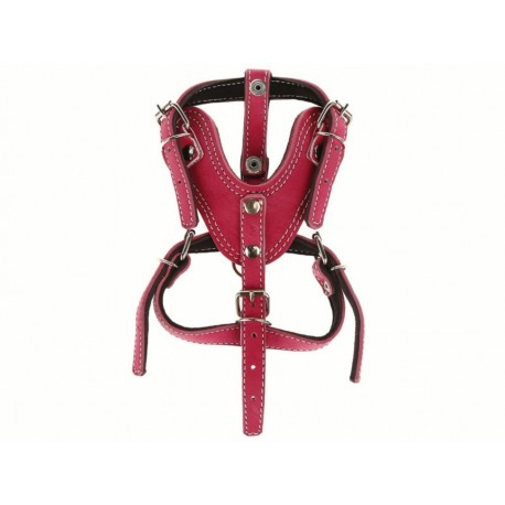 Christian Dog Pechera chica rosa para perro-ComercializadoraZeus- 1051542084
