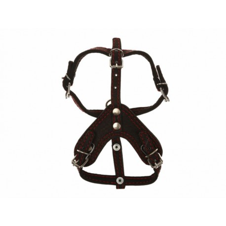 Christian Dog Pechera para Perros Extra Chica Negra-ComercializadoraZeus- 1051542033