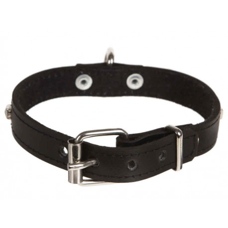 Mundican Collar para Perros Mediano con Estoperoles Piel-ComercializadoraZeus- 1024275643