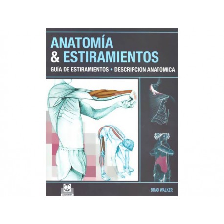 Anatomía y Estiramientos-ComercializadoraZeus- 1037223499