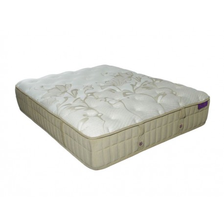 Colchón queen size Magnus Dharma blanco-ComercializadoraZeus- 1037631384