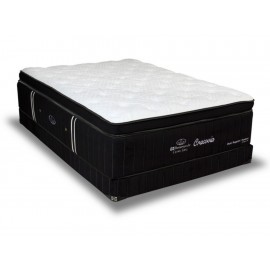 Sealy Box Matrimonial Palazzo-ComercializadoraZeus- 1051233421