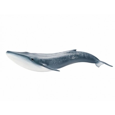 Schleich Ballena Azul Camcom-ComercializadoraZeus- 1020652591