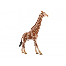 Schleich Figura Camcom de Jirafa-ComercializadoraZeus- 1003719151