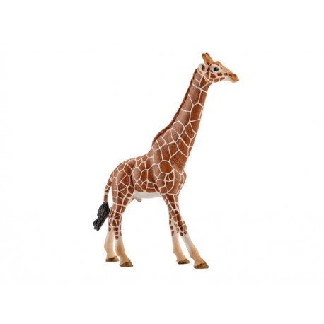 Schleich Figura Camcom de Jirafa-ComercializadoraZeus- 1003719151