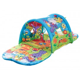 Playgro Gimnasio Recreativo-ComercializadoraZeus- 1039322923