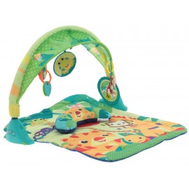 Bright Starts Gimnasio Interactivo-ComercializadoraZeus- 1045576601