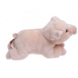Aurora Peluche de Cochinito-ComercializadoraZeus- 1016774584