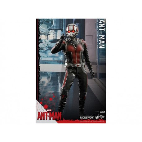 Hot Toys Figura de Ant-Man-ComercializadoraZeus- 1047677145