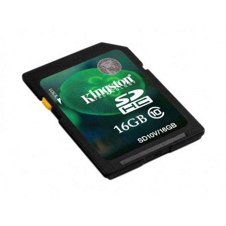 Kingston Tarjeta SD 16 GB Clase 10 Negro-ComercializadoraZeus- 1028493939