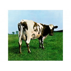 Atom Heart Mother Pink Floyd LP-ComercializadoraZeus- 1053121043