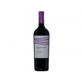 Vino Tinto Punta del Cielo Tannat Merlot 750 ml-ComercializadoraZeus- 63574813