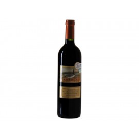 Vino Tinto Phebus Patagonia Malbec-Syrah 2011 750 ml-ComercializadoraZeus- 85158236