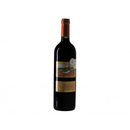Vino Tinto Phebus Patagonia Malbec-Syrah 2011 750 ml-ComercializadoraZeus- 85158236