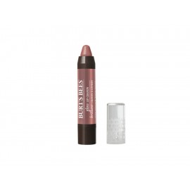 Burt's Bees Gloss Lip Crayon Outback Oasis 2.83 g-ComercializadoraZeus- 1056357528