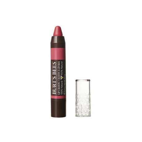 Burt's Bees Lip Crayon Niagra Overlook 3.11 g-ComercializadoraZeus- 1037332522