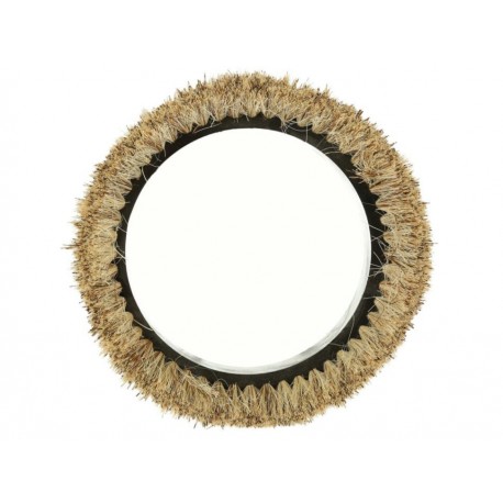 Cepillo para Pulidora Oreck-ComercializadoraZeus- 1055828136